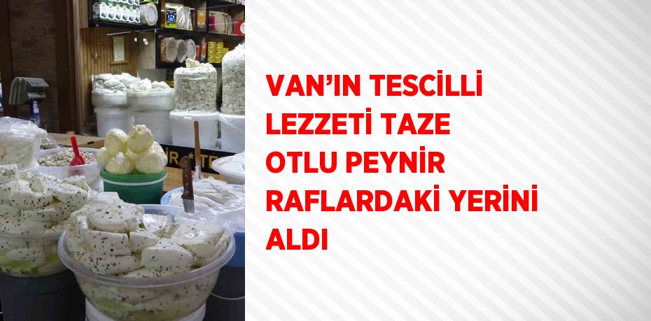 VAN’IN TESCİLLİ LEZZETİ TAZE OTLU PEYNİR RAFLARDAKİ YERİNİ ALDI