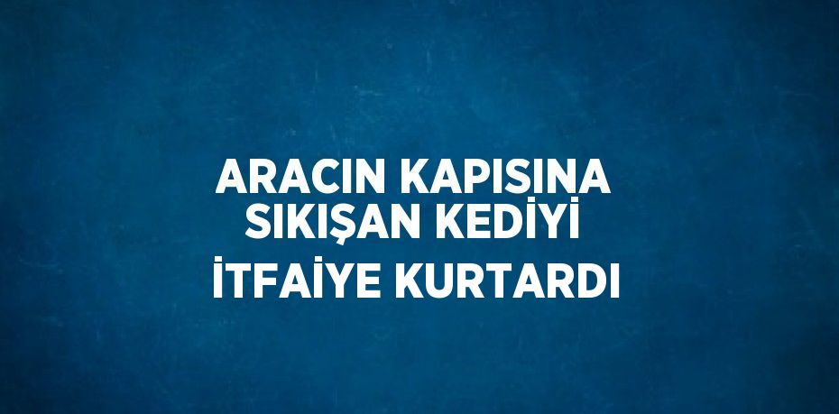 ARACIN KAPISINA SIKIŞAN KEDİYİ İTFAİYE KURTARDI