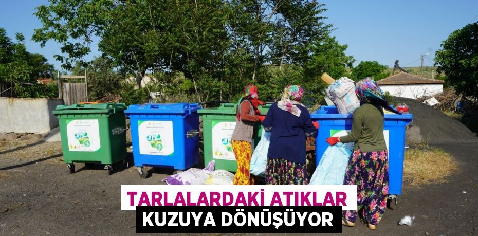 Tarlalardaki atıklar kuzuya dönüşüyor