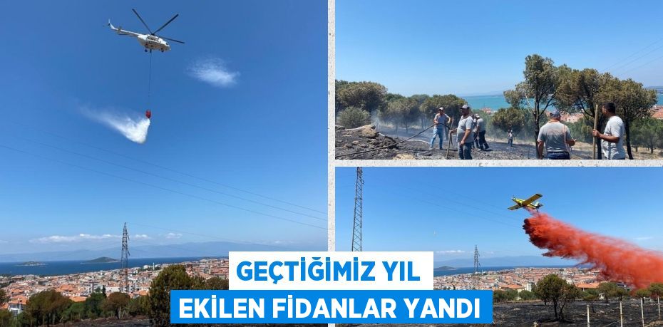 GEÇTİĞİMİZ YIL EKİLEN FİDANLAR YANDI