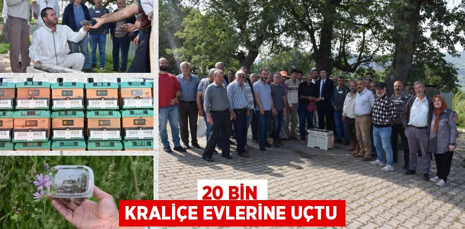 20 bin kraliçe evlerine uçtu