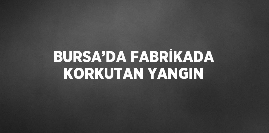 BURSA’DA FABRİKADA KORKUTAN YANGIN