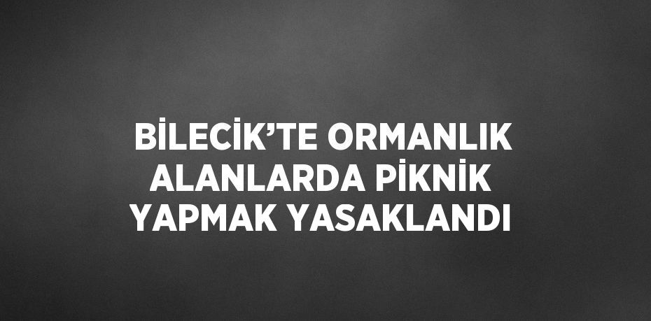 BİLECİK’TE ORMANLIK ALANLARDA PİKNİK YAPMAK YASAKLANDI