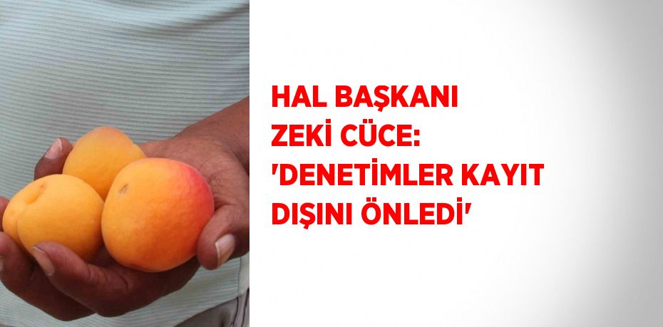 HAL BAŞKANI ZEKİ CÜCE: 'DENETİMLER KAYIT DIŞINI ÖNLEDİ'