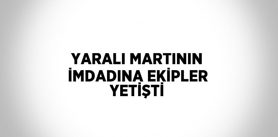 YARALI MARTININ İMDADINA EKİPLER YETİŞTİ