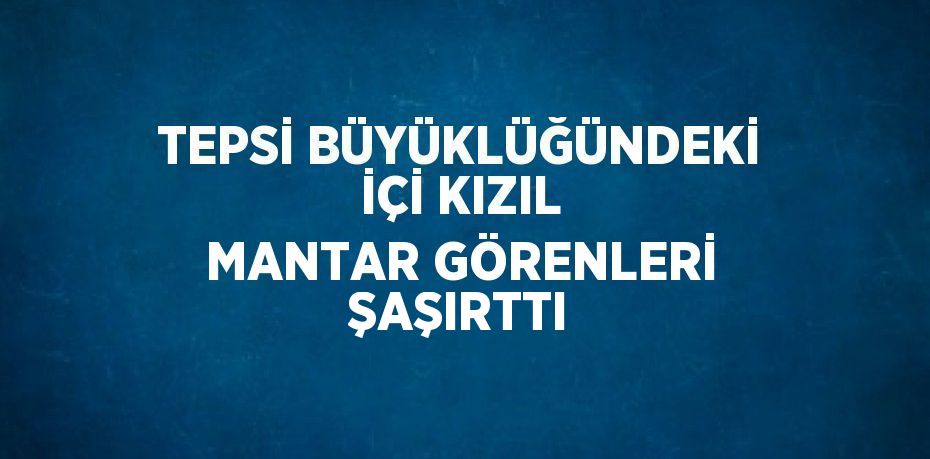 TEPSİ BÜYÜKLÜĞÜNDEKİ İÇİ KIZIL MANTAR GÖRENLERİ ŞAŞIRTTI