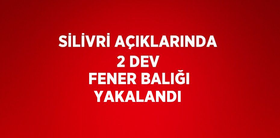 SİLİVRİ AÇIKLARINDA 2 DEV FENER BALIĞI YAKALANDI