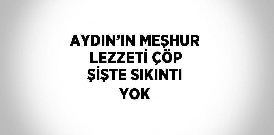 AYDIN’IN MEŞHUR LEZZETİ ÇÖP ŞİŞTE SIKINTI YOK