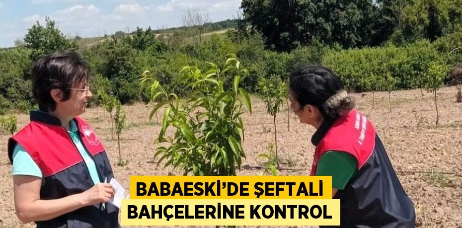 BABAESKİ’DE ŞEFTALİ BAHÇELERİNE KONTROL