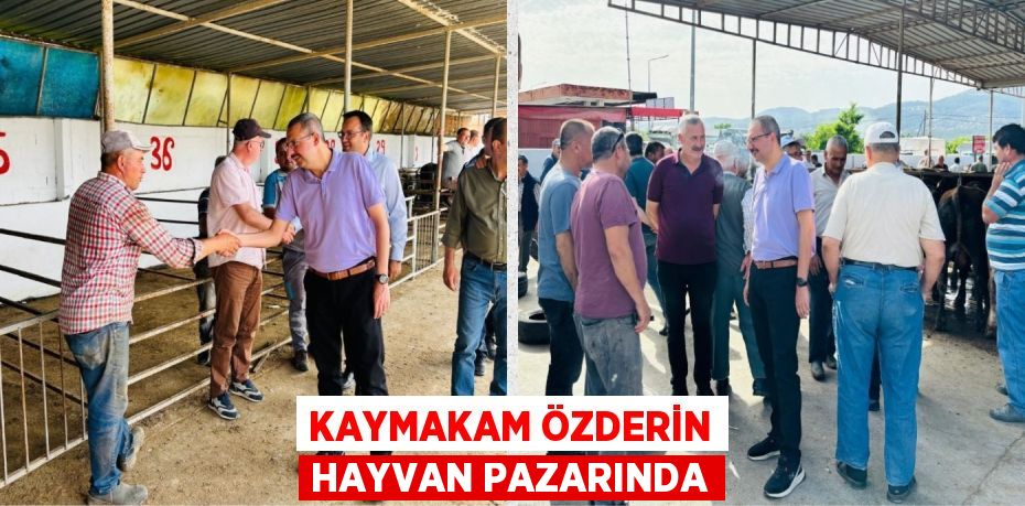 KAYMAKAM ÖZDERİN HAYVAN PAZARINDA