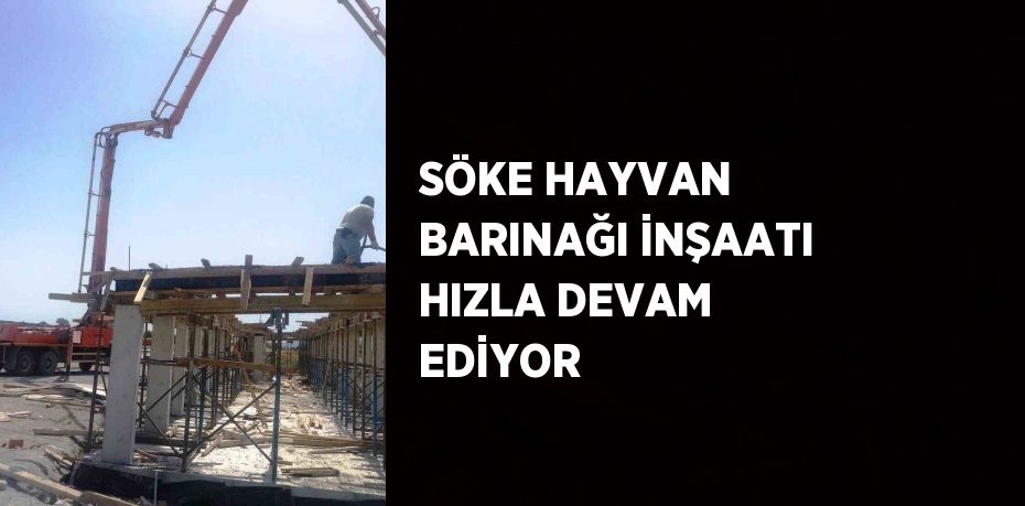 SÖKE HAYVAN BARINAĞI İNŞAATI HIZLA DEVAM EDİYOR