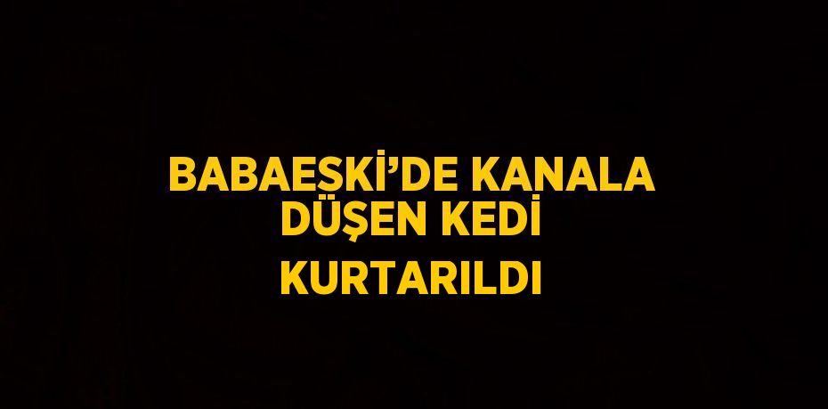 BABAESKİ’DE KANALA DÜŞEN KEDİ KURTARILDI