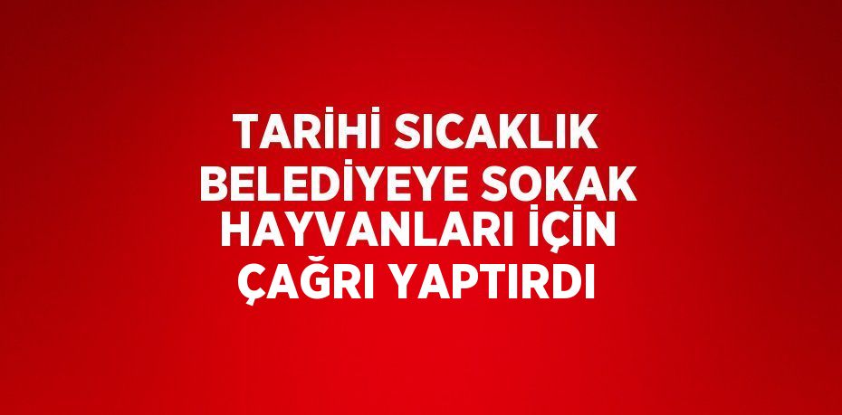 TARİHİ SICAKLIK BELEDİYEYE SOKAK HAYVANLARI İÇİN ÇAĞRI YAPTIRDI