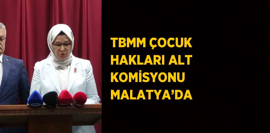 TBMM ÇOCUK HAKLARI ALT KOMİSYONU MALATYA’DA