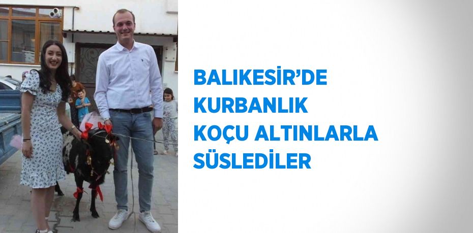 BALIKESİR’DE KURBANLIK KOÇU ALTINLARLA SÜSLEDİLER