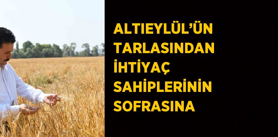 ALTIEYLÜL’ÜN TARLASINDAN İHTİYAÇ SAHİPLERİNİN SOFRASINA