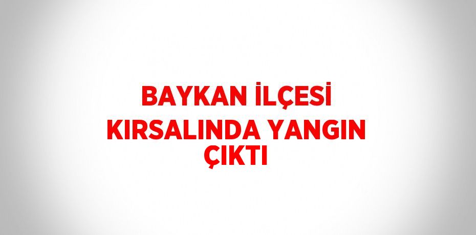 BAYKAN İLÇESİ KIRSALINDA YANGIN ÇIKTI