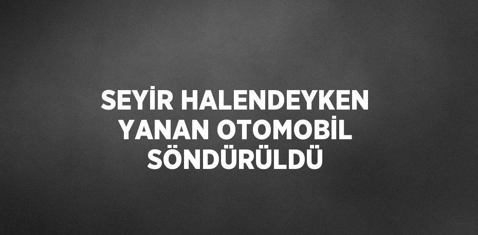 SEYİR HALENDEYKEN YANAN OTOMOBİL SÖNDÜRÜLDÜ