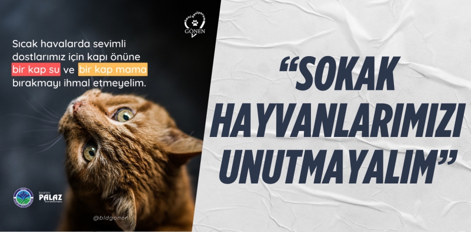 “SOKAK HAYVANLARIMIZI UNUTMAYALIM”