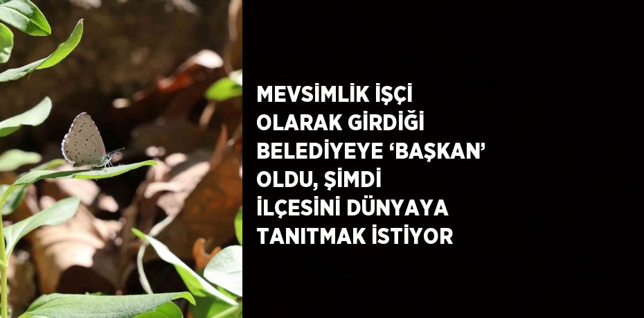 MEVSİMLİK İŞÇİ OLARAK GİRDİĞİ BELEDİYEYE ‘BAŞKAN’ OLDU, ŞİMDİ İLÇESİNİ DÜNYAYA TANITMAK İSTİYOR