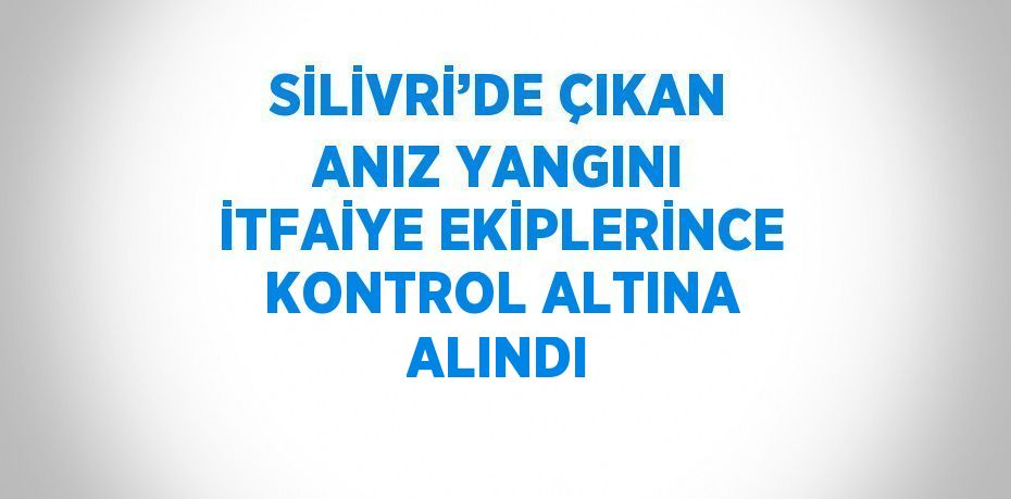 SİLİVRİ’DE ÇIKAN ANIZ YANGINI İTFAİYE EKİPLERİNCE KONTROL ALTINA ALINDI