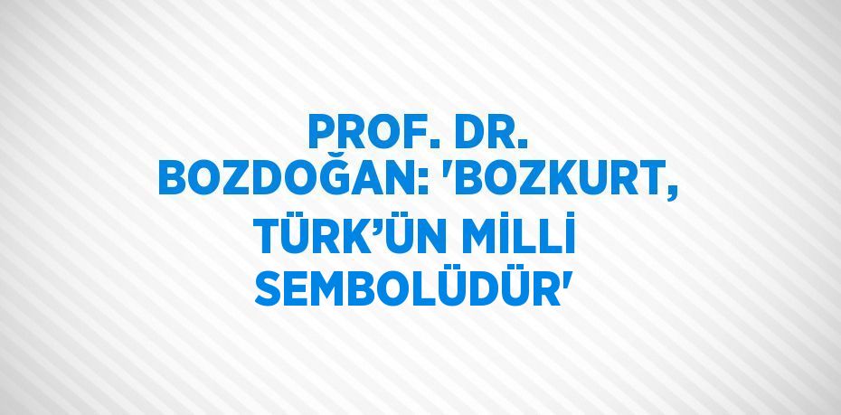 PROF. DR. BOZDOĞAN: 'BOZKURT, TÜRK’ÜN MİLLİ SEMBOLÜDÜR'