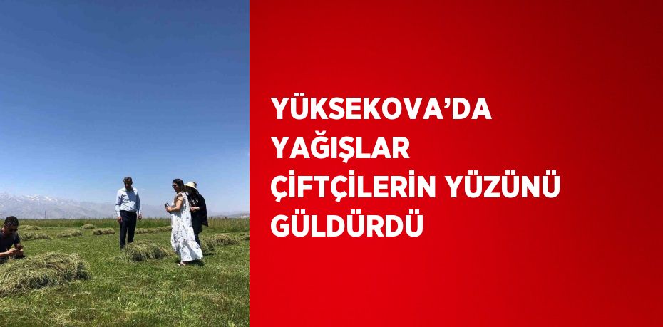 YÜKSEKOVA’DA YAĞIŞLAR ÇİFTÇİLERİN YÜZÜNÜ GÜLDÜRDÜ