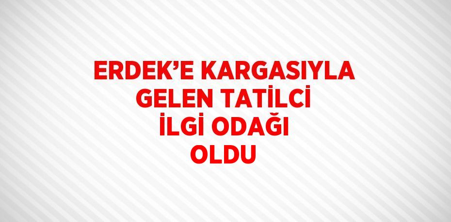 ERDEK’E KARGASIYLA GELEN TATİLCİ İLGİ ODAĞI OLDU