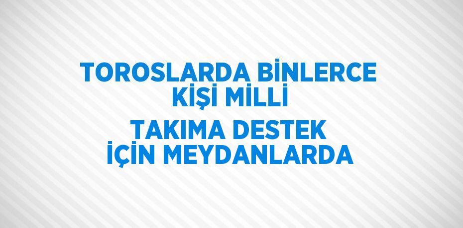 TOROSLARDA BİNLERCE KİŞİ MİLLİ TAKIMA DESTEK İÇİN MEYDANLARDA