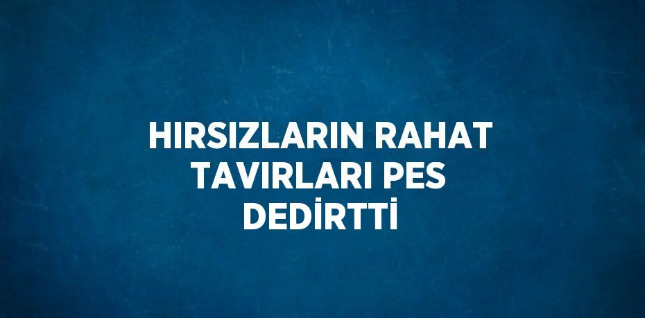 HIRSIZLARIN RAHAT TAVIRLARI PES DEDİRTTİ