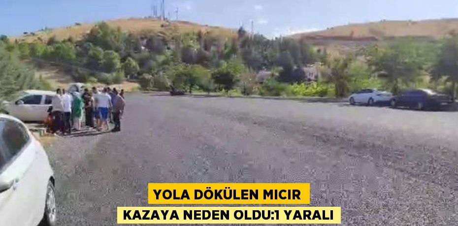 YOLA DÖKÜLEN MICIR KAZAYA NEDEN OLDU:1 YARALI