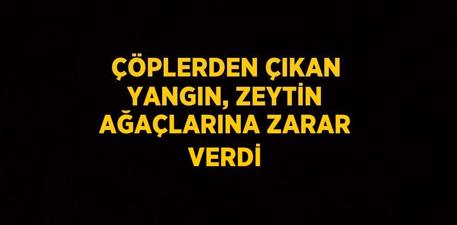 ÇÖPLERDEN ÇIKAN YANGIN, ZEYTİN AĞAÇLARINA ZARAR VERDİ