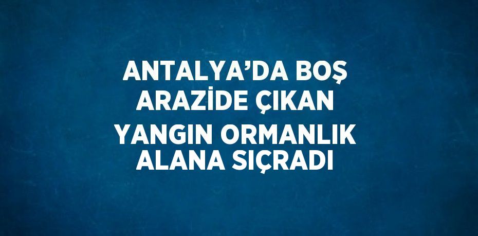 ANTALYA’DA BOŞ ARAZİDE ÇIKAN YANGIN ORMANLIK ALANA SIÇRADI