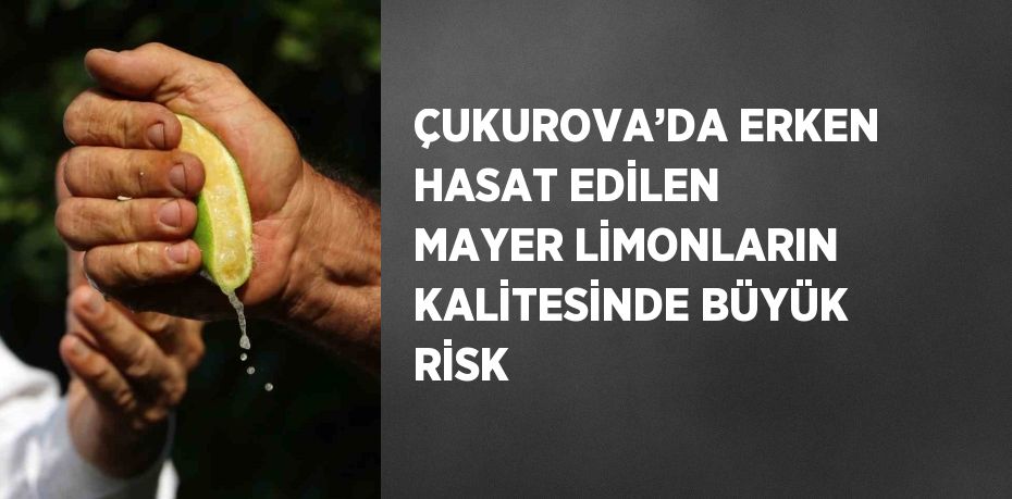 ÇUKUROVA’DA ERKEN HASAT EDİLEN MAYER LİMONLARIN KALİTESİNDE BÜYÜK RİSK