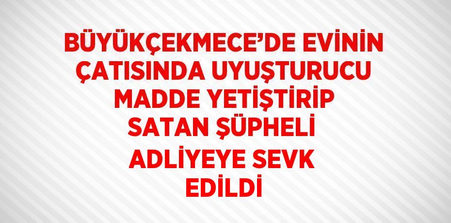 BÜYÜKÇEKMECE’DE EVİNİN ÇATISINDA UYUŞTURUCU MADDE YETİŞTİRİP SATAN ŞÜPHELİ ADLİYEYE SEVK EDİLDİ