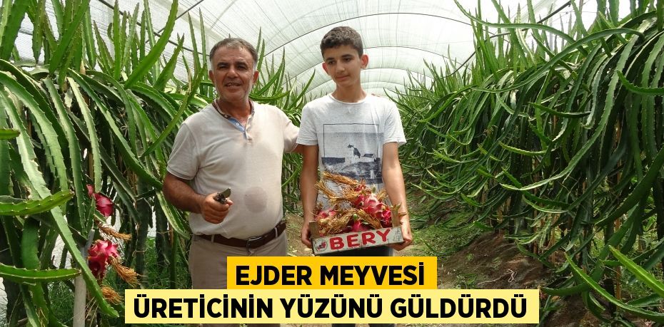 Ejder meyvesi üreticinin yüzünü güldürdü