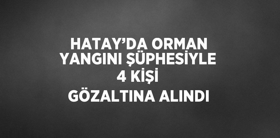 HATAY’DA ORMAN YANGINI ŞÜPHESİYLE 4 KİŞİ GÖZALTINA ALINDI