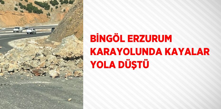 BİNGÖL ERZURUM KARAYOLUNDA KAYALAR YOLA DÜŞTÜ