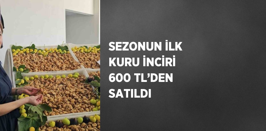 SEZONUN İLK KURU İNCİRİ 600 TL’DEN SATILDI