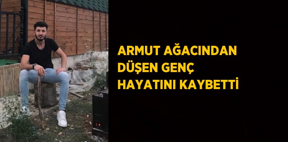 ARMUT AĞACINDAN DÜŞEN GENÇ HAYATINI KAYBETTİ