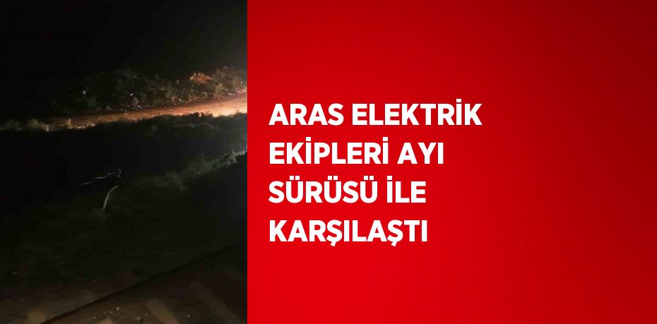 ARAS ELEKTRİK EKİPLERİ AYI SÜRÜSÜ İLE KARŞILAŞTI