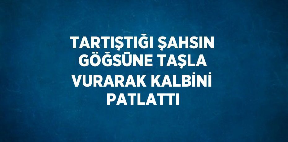 TARTIŞTIĞI ŞAHSIN GÖĞSÜNE TAŞLA VURARAK KALBİNİ PATLATTI