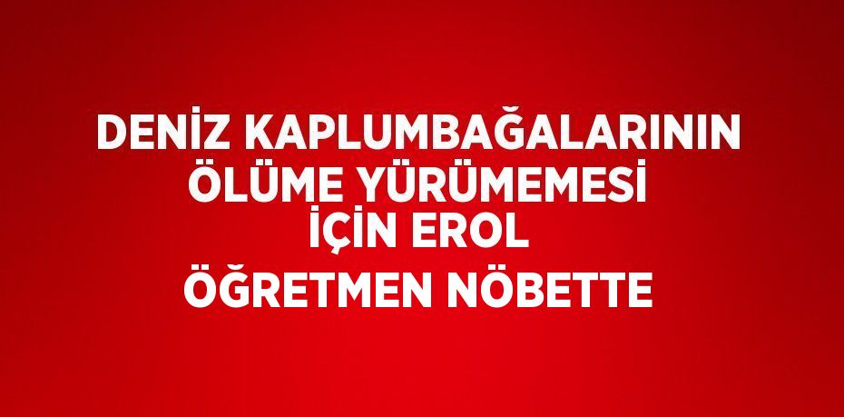 DENİZ KAPLUMBAĞALARININ ÖLÜME YÜRÜMEMESİ İÇİN EROL ÖĞRETMEN NÖBETTE