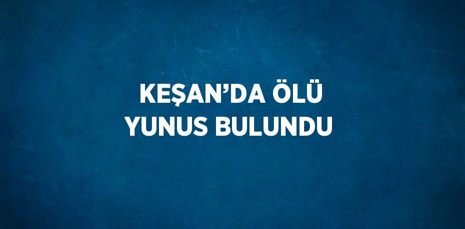 KEŞAN’DA ÖLÜ YUNUS BULUNDU