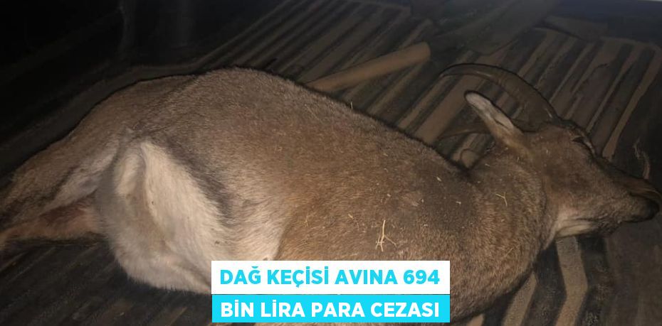 DAĞ KEÇİSİ AVINA 694 BİN LİRA PARA CEZASI