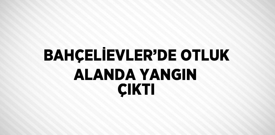 BAHÇELİEVLER’DE OTLUK ALANDA YANGIN ÇIKTI