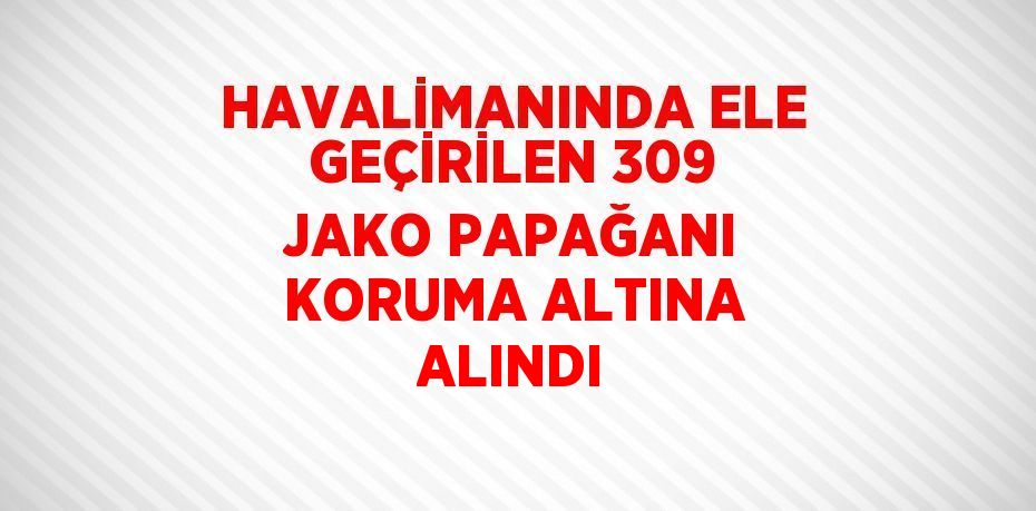 HAVALİMANINDA ELE GEÇİRİLEN 309 JAKO PAPAĞANI KORUMA ALTINA ALINDI