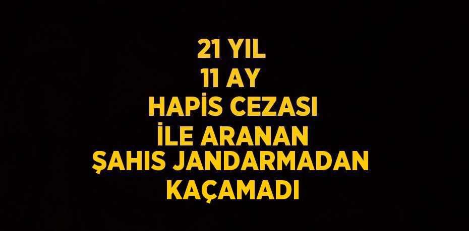 21 YIL 11 AY HAPİS CEZASI İLE ARANAN ŞAHIS JANDARMADAN KAÇAMADI