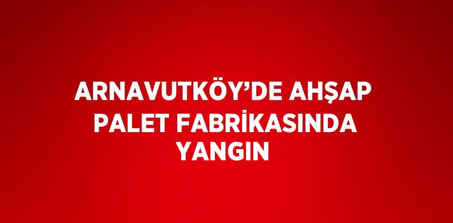 ARNAVUTKÖY’DE AHŞAP PALET FABRİKASINDA YANGIN