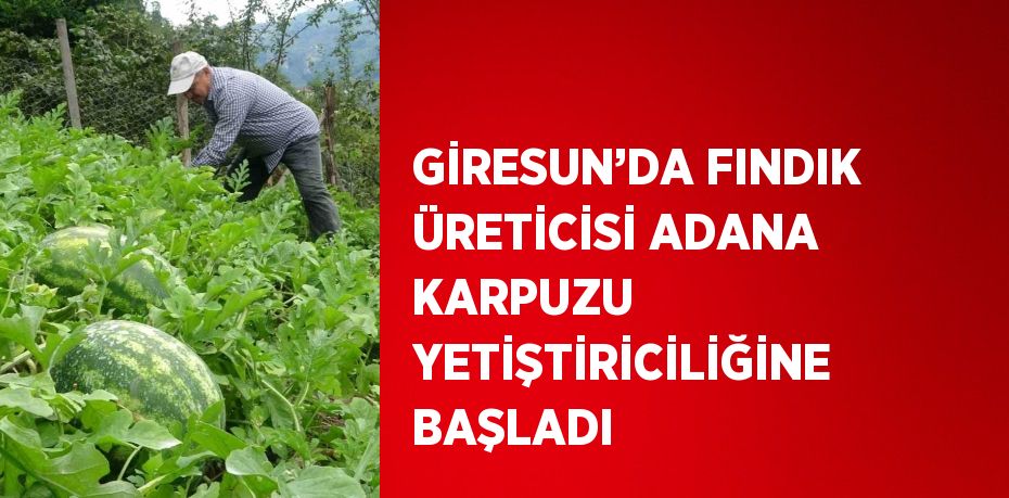 GİRESUN’DA FINDIK ÜRETİCİSİ ADANA KARPUZU YETİŞTİRİCİLİĞİNE BAŞLADI